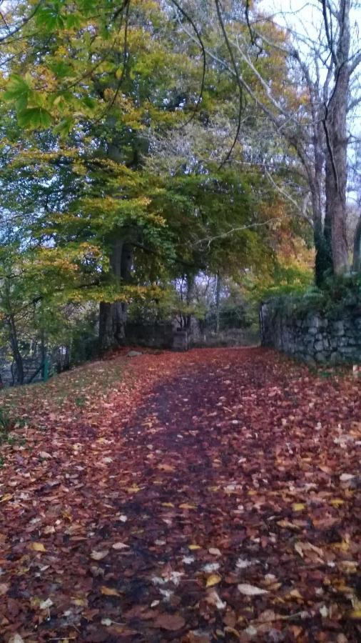 Mill Lane Lägenhet Buncrana Exteriör bild